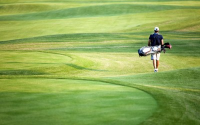 Solid Ground Landscaping – An Exciting Road Ahead