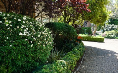 Landscape Maintenance Programmes at your School