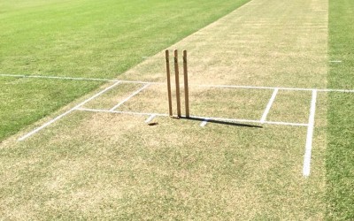 Turf Cricket Wicket Preparation and Maintenance