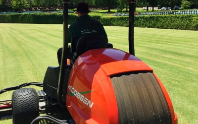 Solid Ground Landscaping Celebrate 12 Months in Business