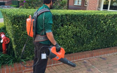 Solid Ground Landscaping Lead the Way on Environmental Issues