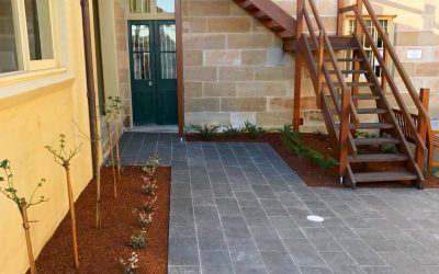 The Solid Ground Landscape Enhancement Teams deliver for our Customers …again