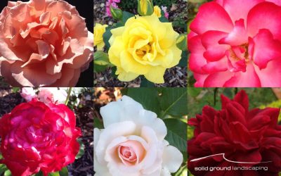 Spring…the season of possibilities