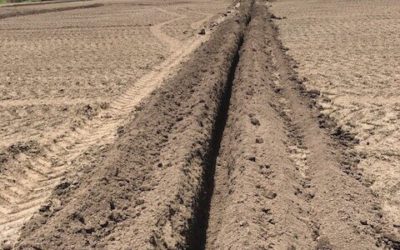 Irrigation… A Game Changer
