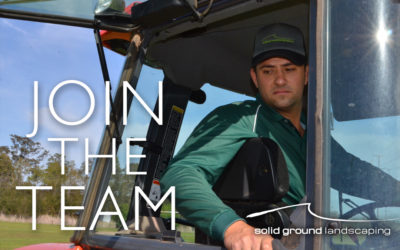 Exciting Opportunities in Brisbane and Sydney