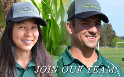 Career opportunities