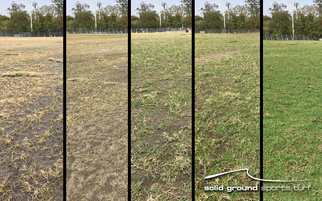 A Costeffective Solution Solid Ground Landscaping