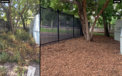 MULCHING makes a difference!