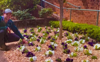 “Thanks to our fantastic gardeners!”