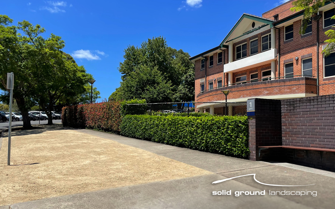 Smart & Practical - Solid Ground Landscaping