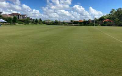 Fields, Grounds & Surrounds