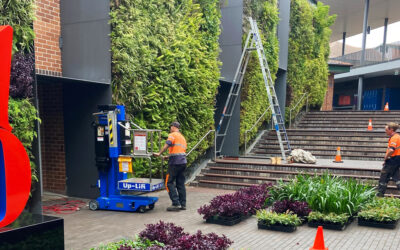 Vertical Gardeners