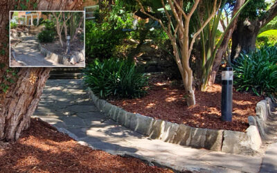 BENEFITS of MULCHING