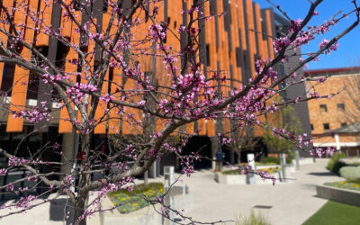 Spring has Sprung!