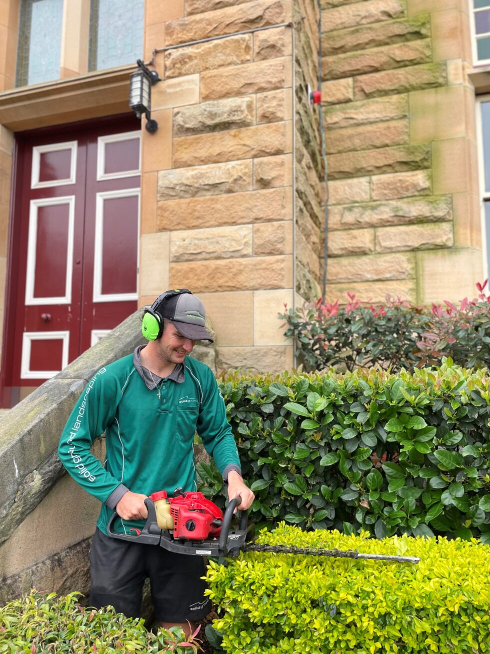About - Solid Ground Landscaping