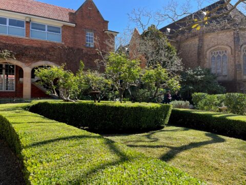 Solid Ground Landscaping