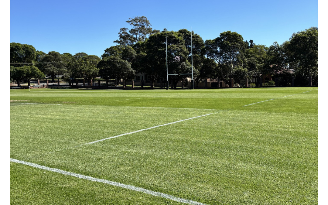 Premium Sports Turf