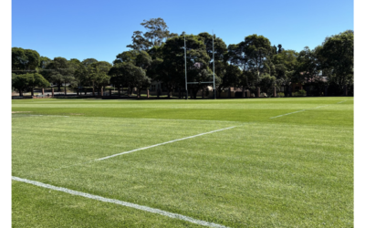 Premium Sports Turf