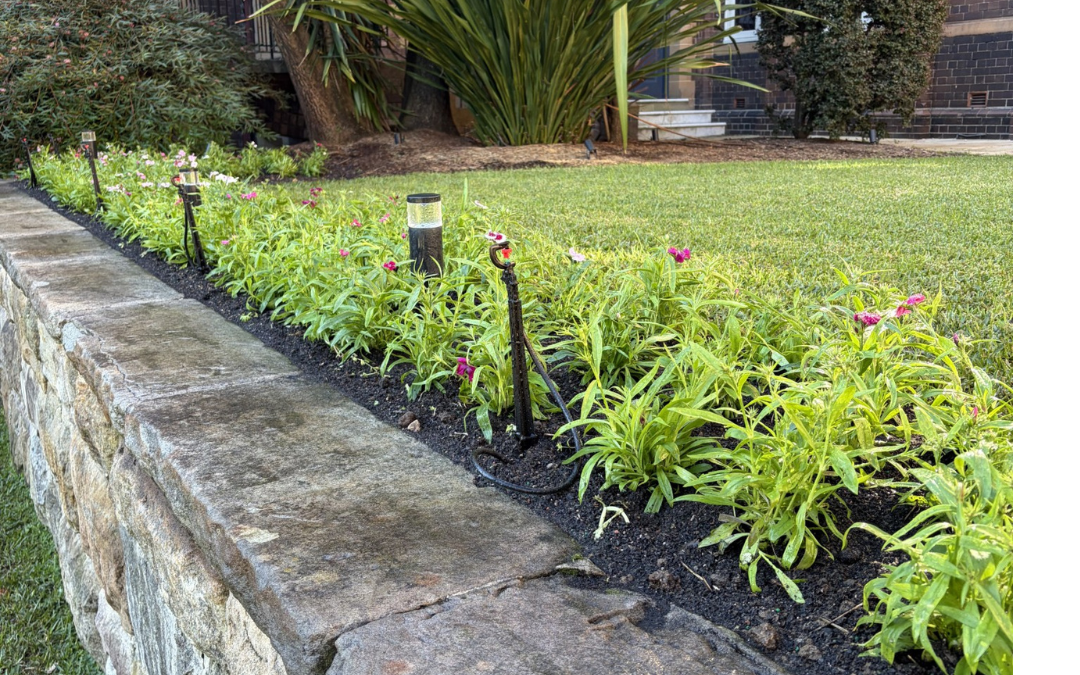 Fresh Seasonal Colour, Expertly Maintained