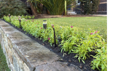 Fresh Seasonal Colour, Expertly Maintained