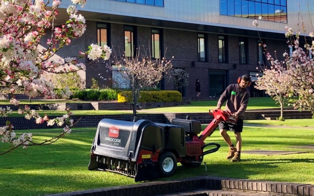 The Importance of Lawn Care and Renovation