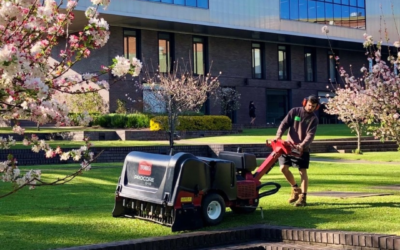 The Importance of Lawn Care and Renovation